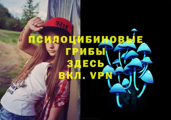 мдпв Верея