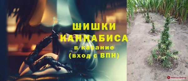 мдпв Верея