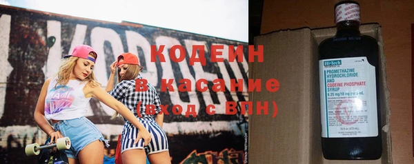 мдпв Верея