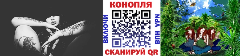 Марихуана семена  Купить закладки  Свободный 